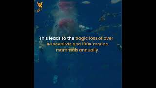 #beatplasticpollution World Environment Day