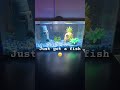 Just got a fish!