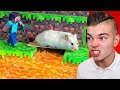 CHOMIK vs SZALONY TOR PRZESZKÓD z Minecraft w Prawdziwym Życiu!