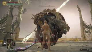 [ER] Morgott hitless parry strat (lol) with Reduvia/Rotten Breath