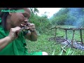 Survival Skills - Cooking chicken - How to catch chickens - Primitive Technology Eating delicious