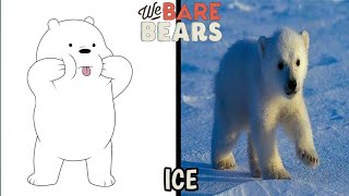 We Bare Bears Characters in Real Life.
