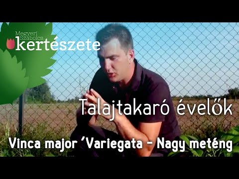 Videó: Hidegálló talajtakarók – megfelelő talajtakaró növények a 4. zónás kertekhez