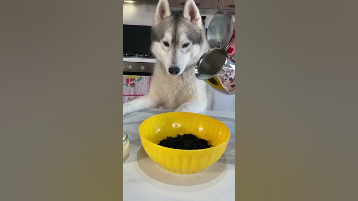 Ricetta SEGRETA del GELATO NERO!🍦😱🤭 #ricetta #food #dog #cane #icecream
