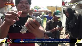 ASINE BANYU MATA || SINGA DANGDUT TRIO MUDA || Show desa wirakanan blok kemped || 18 JULI 2024