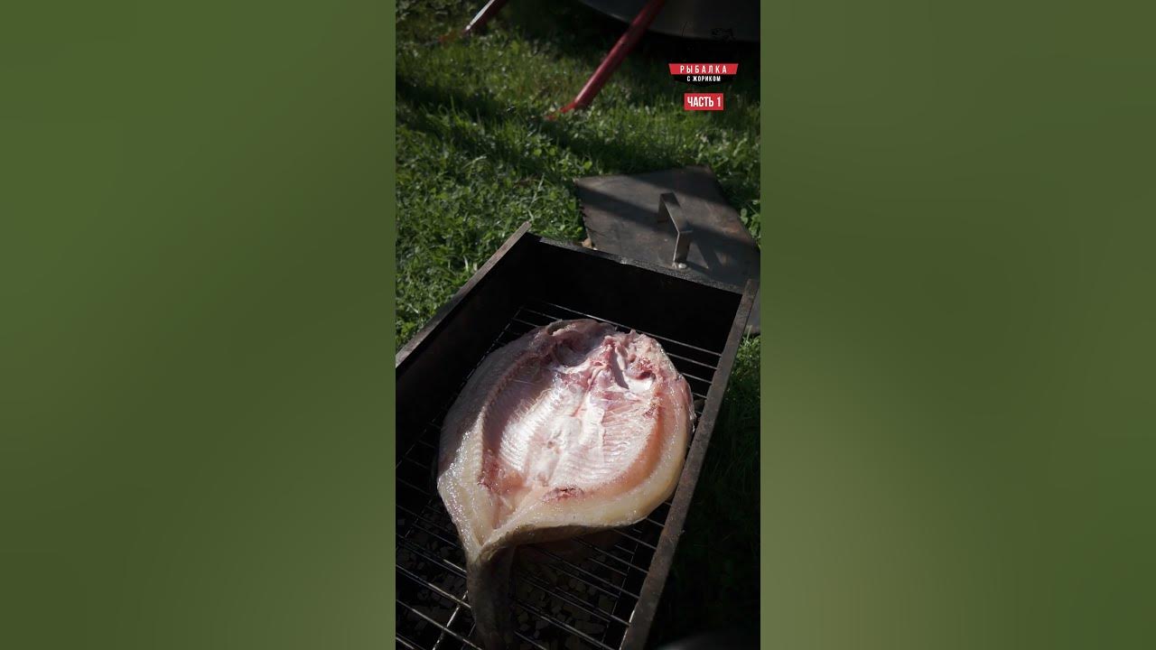 КОПЧЕНЫЙ ЯЗЬ - ЧАСТЬ 1🔥🔥🔥 #fishing #рыбалка #shorts #язь - YouTube