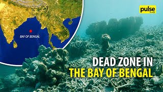 Dead Zone Found in the Bay of Bengal