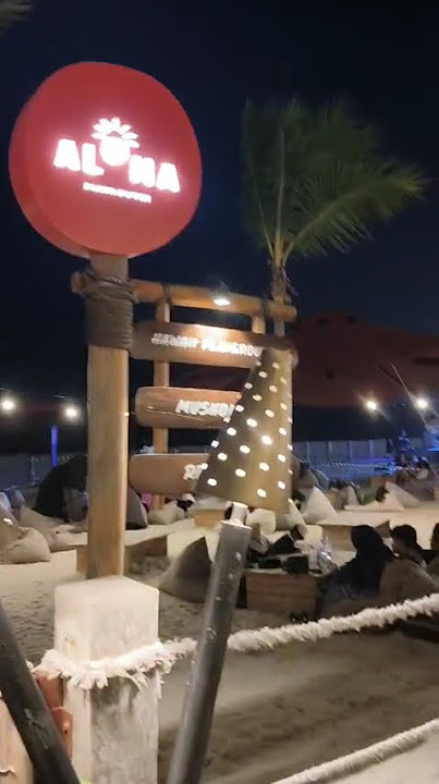 Pom Teddy is ok  today.After check up visit Aloha at Pik.His happy new place to explore.