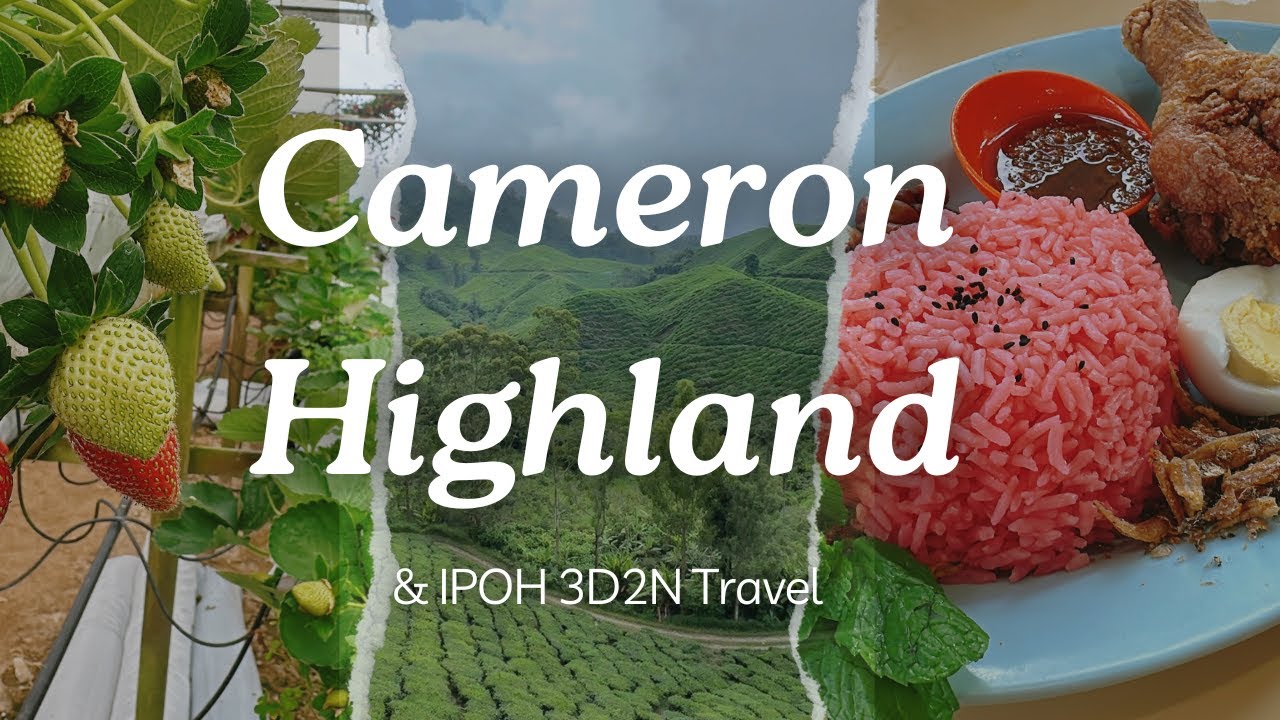 3D2N Ipoh & Cameron Highlands Trip | Malaysia