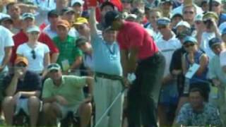 Tiger Woods F Swing Ysis