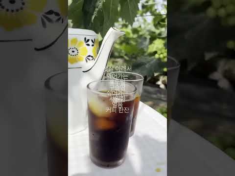 샤인머스켓, 익어가는 포도밭 풍경feat.아아메!