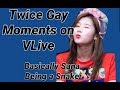 Twice Gay Moments on VLive #2 - Basically Sana Being a Snake