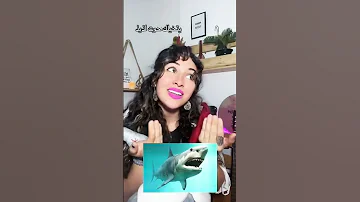اغنية سحر مرة في حينا زارنا قرش مخيف 