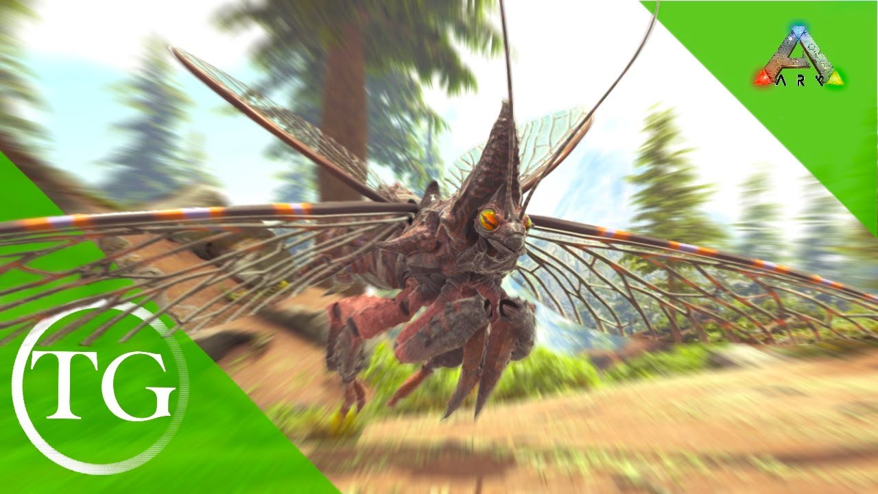 Hunting For Ark's Newest Bug! [Ep 18]