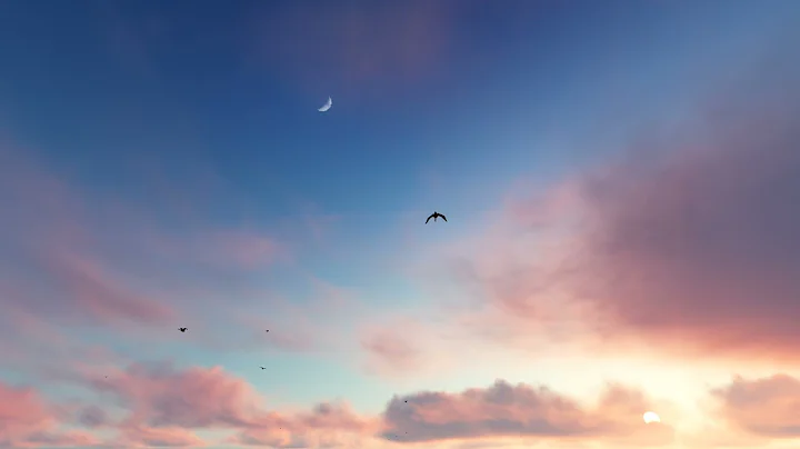 THOUGHT FOR THE DAY: LIKE BIRDS