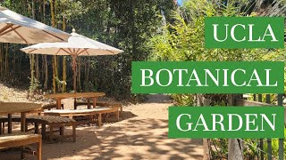A Tour of the UCLA Botanical Garden (2022)