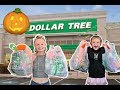 NO BUDGET DOLLAR TREE HALLOWEEN HAUL!! 👻🎃