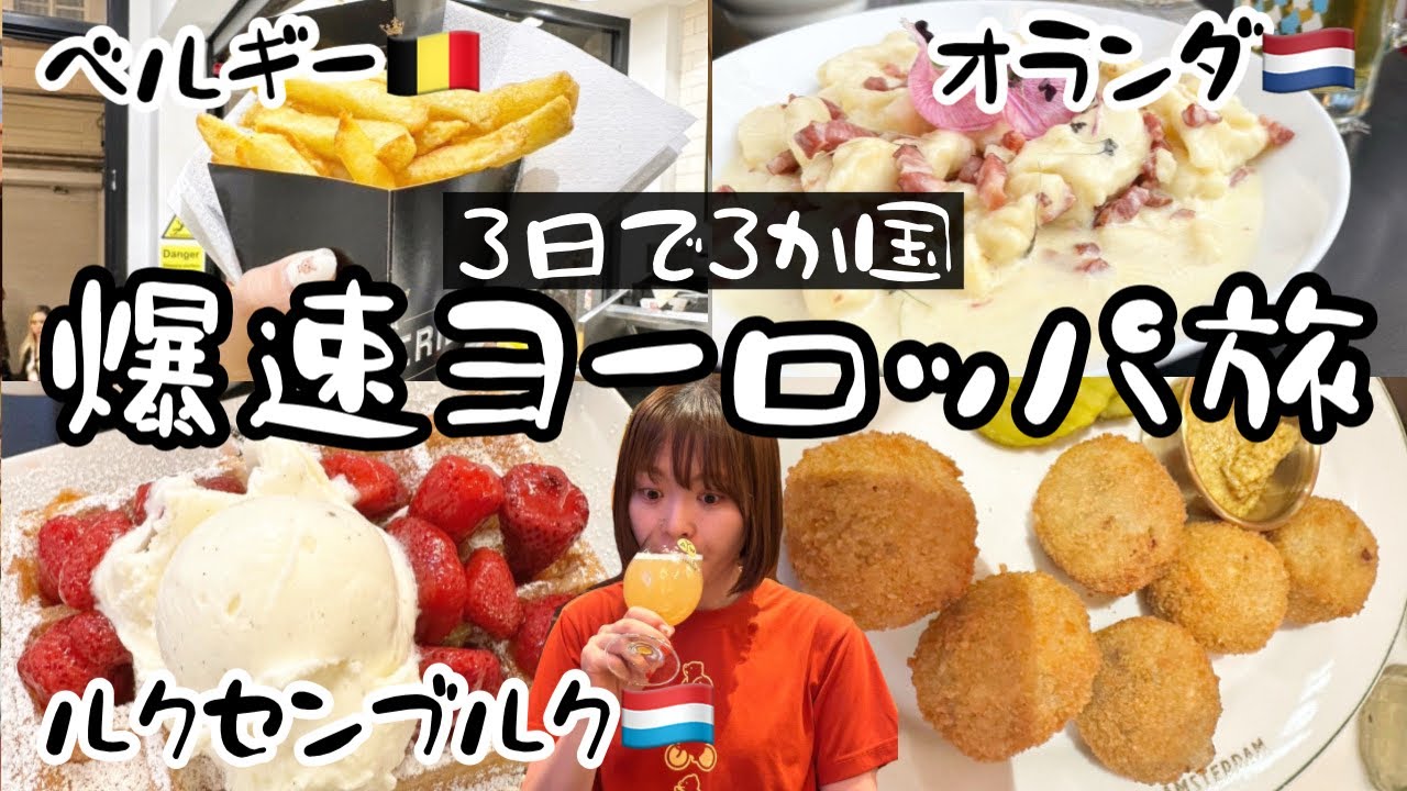 【滞在24時間以内】3泊でヨーロッパ3か国を巡る爆速新婚旅行vlog【ルクセンブルク】【ベルギー】【オランダ】【ビール飲み比べ】