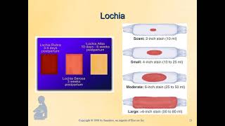 OB Lecture Ch 9 mp4