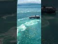 大迫力の鳴門の渦潮🌀