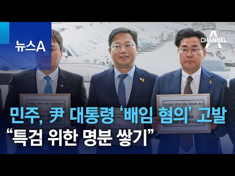 민주, 尹 대통령 ‘배임 혐의’ 고발…“특검 위한 명분 쌓기” | 뉴스A