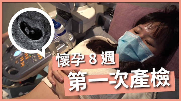 一起来参加宝宝性别派对！怀孕八周第一次听到宝宝心跳声｜第一次产检心得｜猪猪队友 Scott & Wendy - 天天要闻