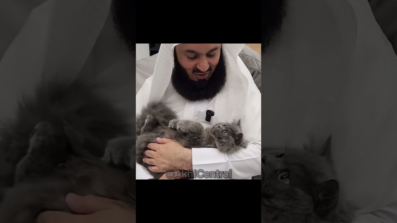 Mufti Menk Makes Cat Take Shahada Muftimenk Islam Islamic Deen
