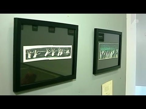 ირაკლი ფარჯიანის გამოფენა