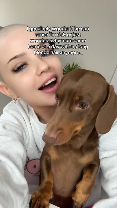 can-dogs-tell-if-your-sick-shortsviral-hairloss-cancer-trending