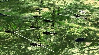 Plant A Billion Trees Using Drone - Invention.network