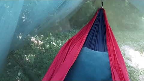 Hammock and bug net set up