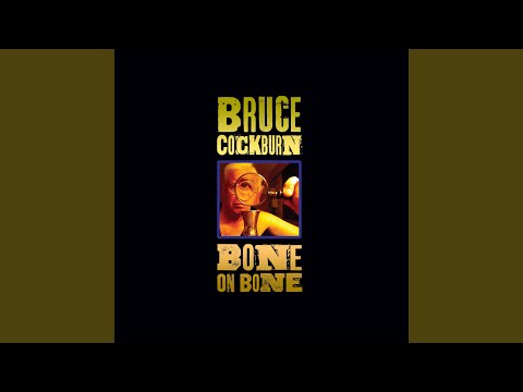 Bruce Cockburn - 40 Years In The Wilderness