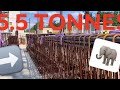 Mga poutre de 55 tonnes  