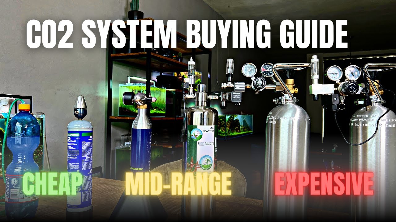 BEST CO2 SYSTEM BEGINNERS?🤔 CO2 SYSTEM YouTube