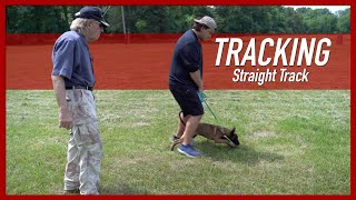 How to Teach Your Dog a Straight Track screenshot 3