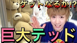 高額そうな巨大テッドのぬいぐるみゲットなるか⁉︎ 帰宅後に事件が… 【UFOキャッチャー】