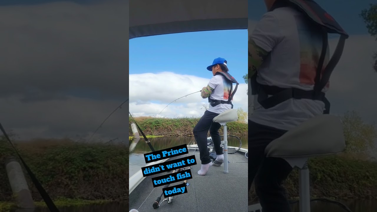 California Delta bass fishing                      Sept 28th, 2025