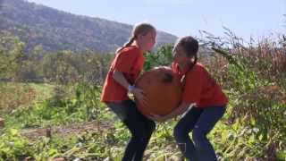 The Great Pumpkin Festival at Heaven Hill Farm in Vernon, NJ