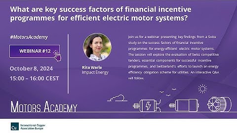 What are key success factors of financial incentive programmes for efficient electric motor systems?
