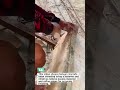 Manual Concrete Edge Trimming with Hammer &amp; Chisel #construction #concrete #shorts
