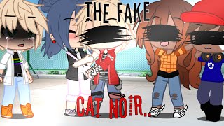 •Fake cat noir•||MLB||Read description||