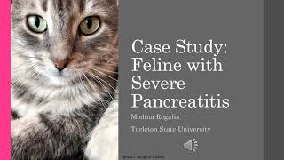 Feline Pancreatitis