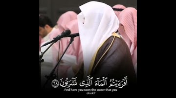 {أفرأيتم الماء الذي تشربون } مؤثرة من سورة الواقعة الشيخ ياسر الدوسري #الحج #تابعوني