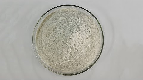 Celery Powder Extract
