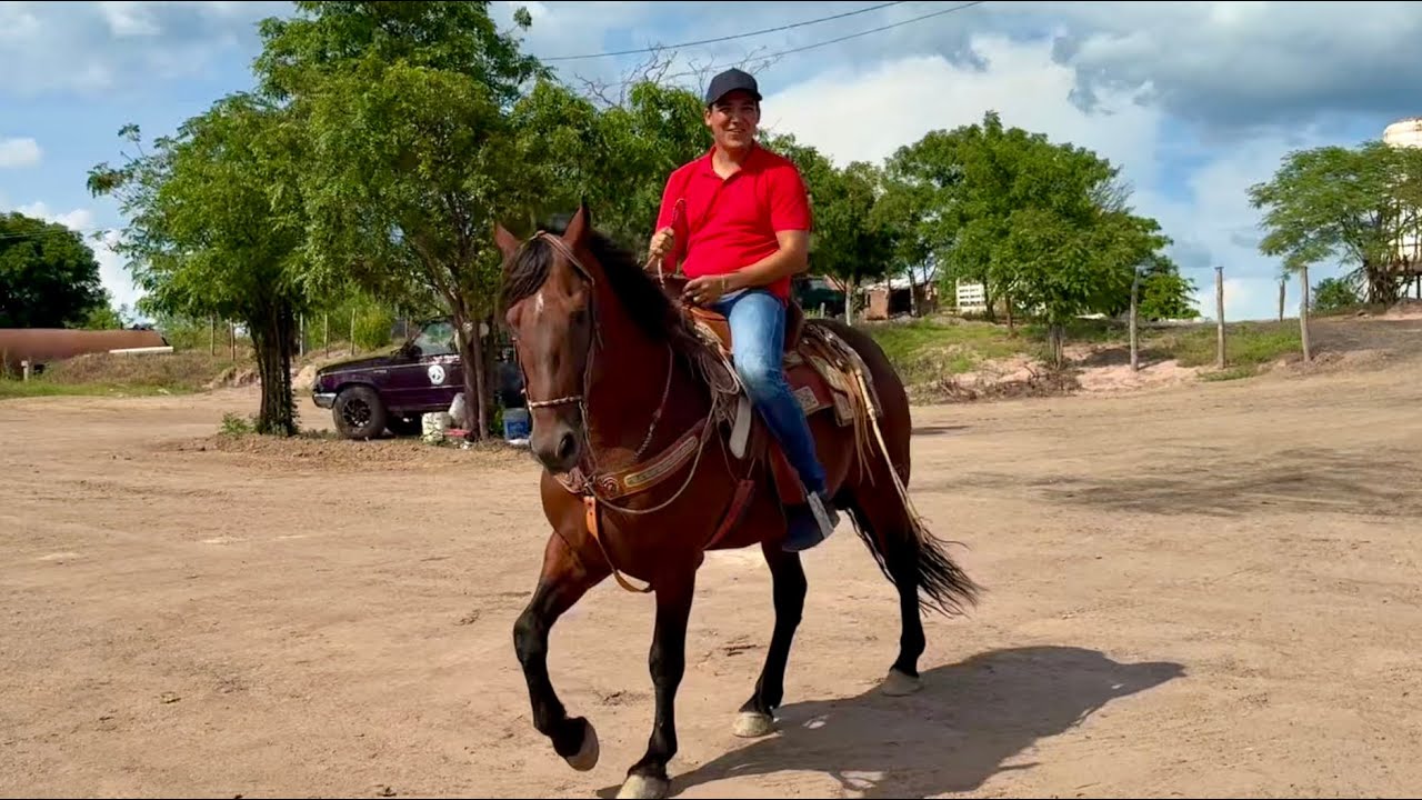Los ranchos de Sinaloa