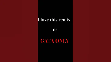 This Is Such A Good Remix 