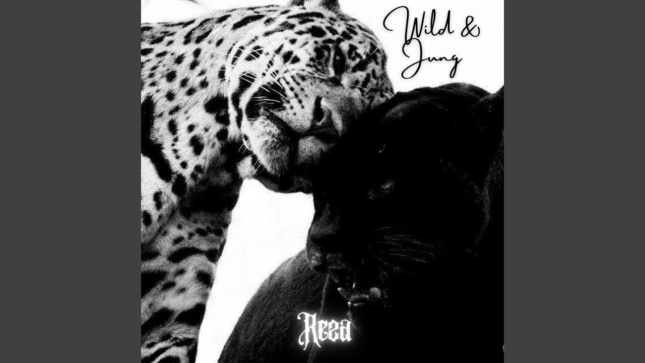 Wild & Jung