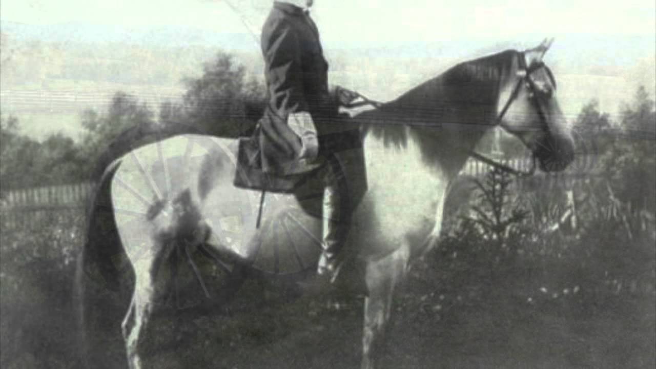 Horses and Mules in the Civil War YouTube
