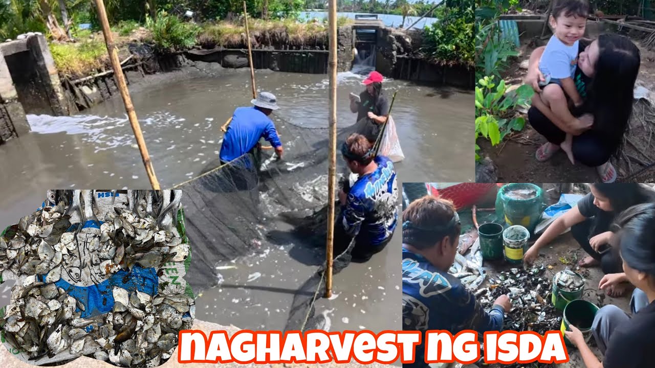 BUMYAHE KAMI NG INFANTA, QUEZON | Nagharvest ng isda