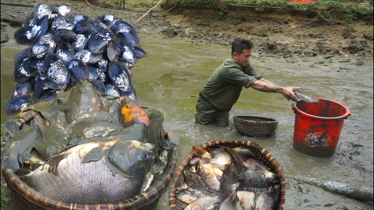 Fish ponds are well developed, exploiting large volumes of fish to sell ...